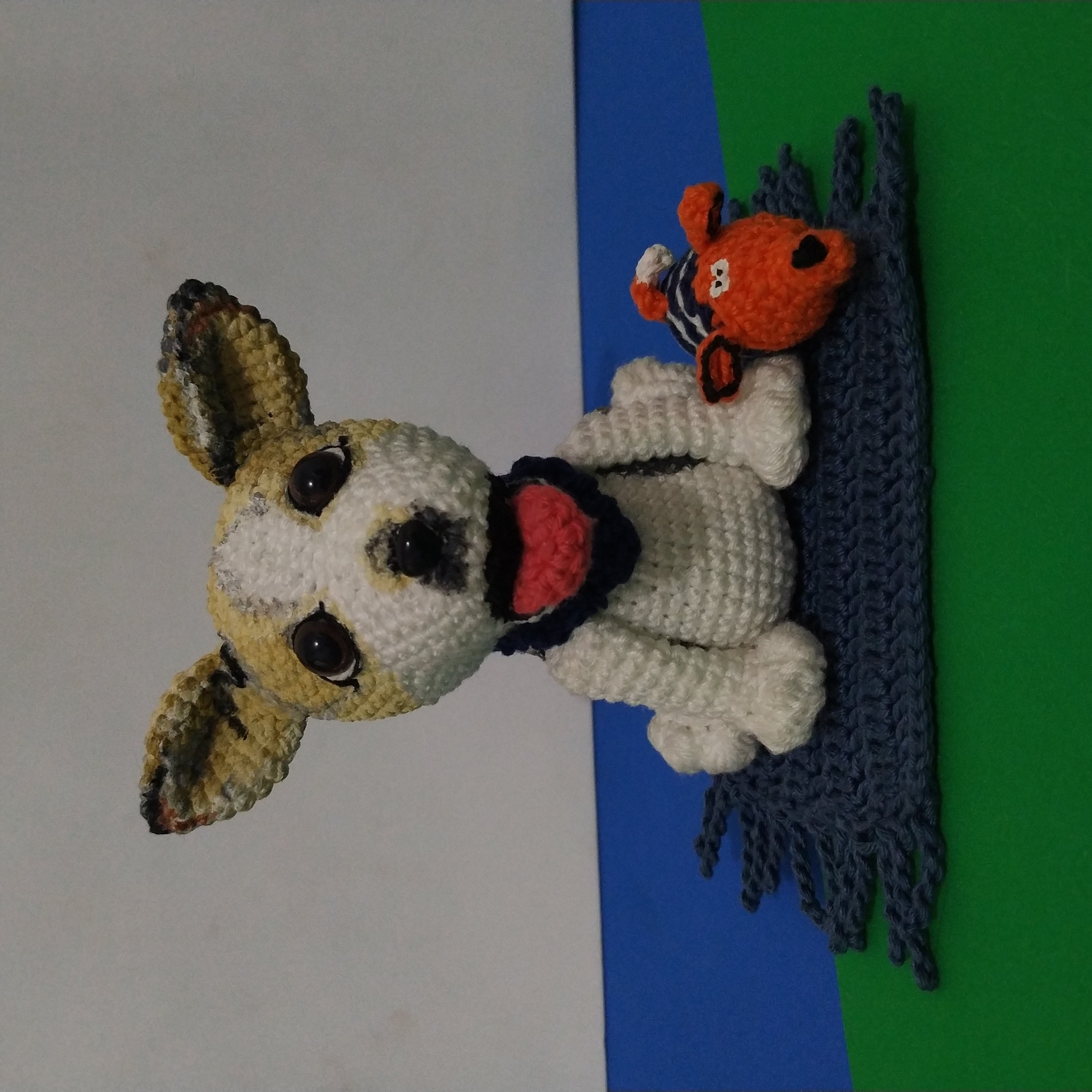 Cachorro