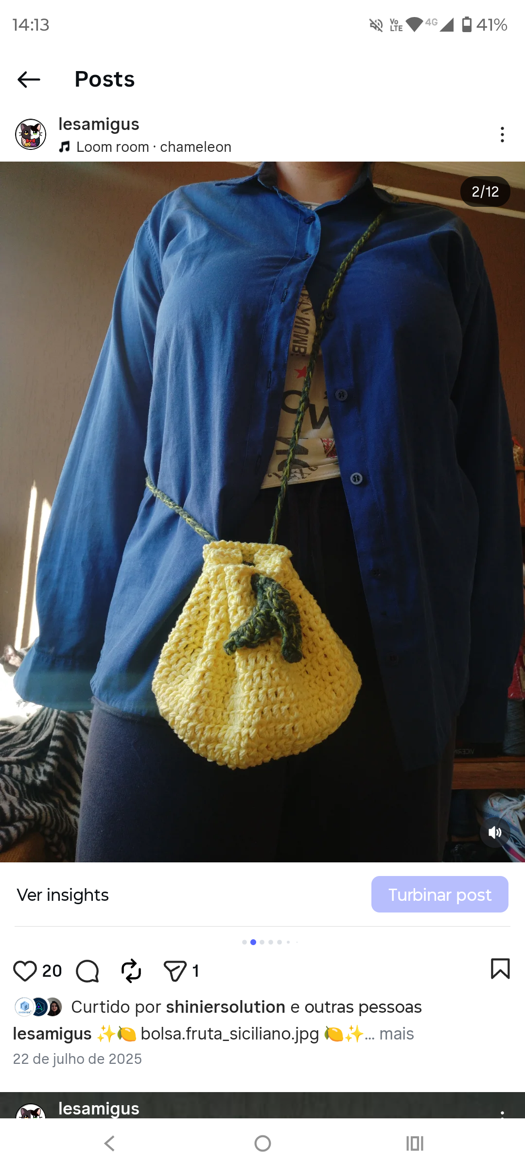 Bolsa Fruta